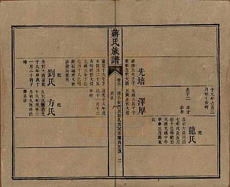 [下载][蒋氏族谱]湖南蒋氏__清光绪11年（1885）_五十一.pdf