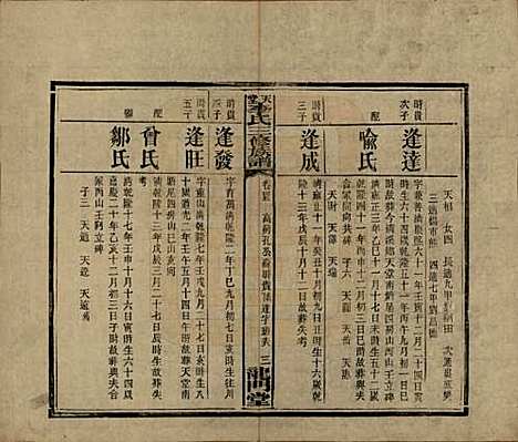 [下载][天堂李氏三修族谱]湖南李氏__民国35年（1946）_四十五.pdf