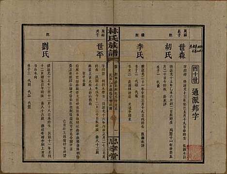 [下载][林氏族谱]湖南林氏(共三十一卷)__民国十五年(1926)_五.pdf