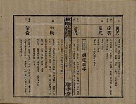 [下载][林氏族谱]湖南林氏(共三十一卷)__民国十五年(1926)_七.pdf