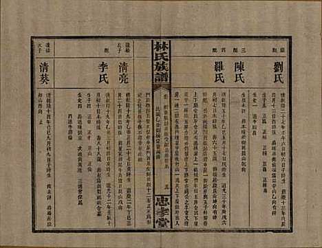 [下载][林氏族谱]湖南林氏(共三十一卷)__民国十五年(1926)_七.pdf