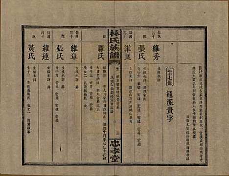 [下载][林氏族谱]湖南林氏(共三十一卷)__民国十五年(1926)_八.pdf