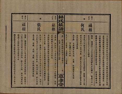 [下载][林氏族谱]湖南林氏(共三十一卷)__民国十五年(1926)_九.pdf