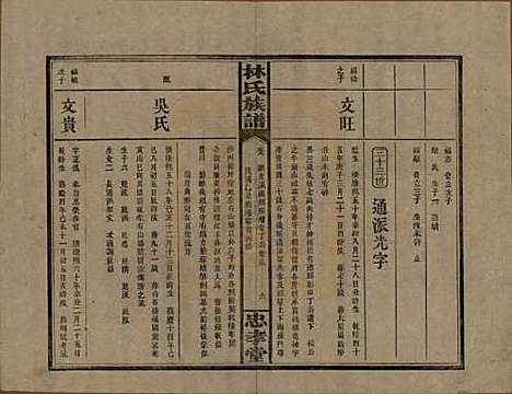 [下载][林氏族谱]湖南林氏(共三十一卷)__民国十五年(1926)_九.pdf