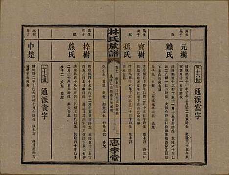 [下载][林氏族谱]湖南林氏(共三十一卷)__民国十五年(1926)_十一.pdf