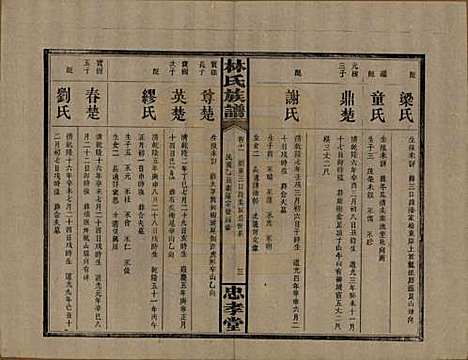 [下载][林氏族谱]湖南林氏(共三十一卷)__民国十五年(1926)_十一.pdf