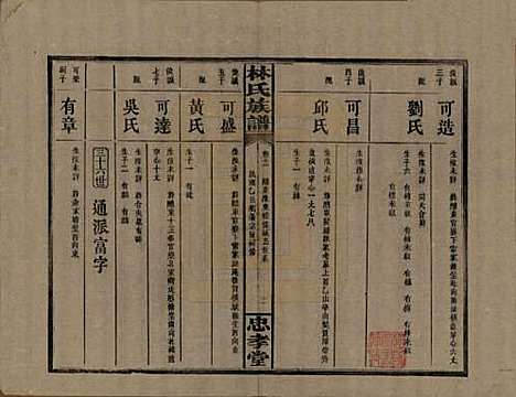 [下载][林氏族谱]湖南林氏(共三十一卷)__民国十五年(1926)_十二.pdf