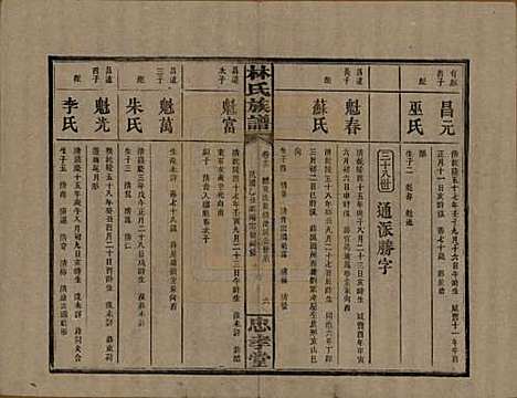 [下载][林氏族谱]湖南林氏(共三十一卷)__民国十五年(1926)_十二.pdf