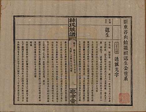 [下载][林氏族谱]湖南林氏(共三十一卷)__民国十五年(1926)_十三.pdf