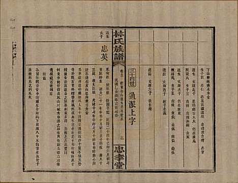 [下载][林氏族谱]湖南林氏(共三十一卷)__民国十五年(1926)_十三.pdf