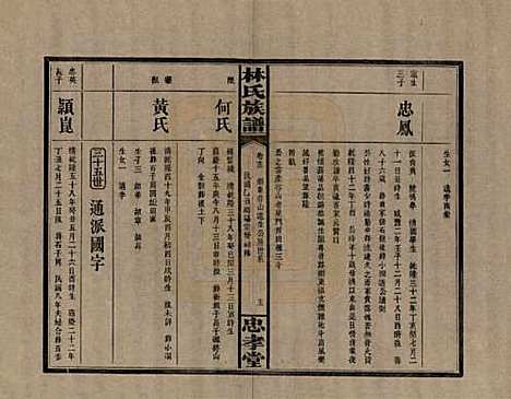 [下载][林氏族谱]湖南林氏(共三十一卷)__民国十五年(1926)_十三.pdf