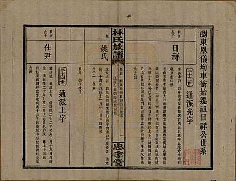 [下载][林氏族谱]湖南林氏(共三十一卷)__民国十五年(1926)_十七.pdf