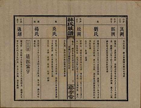 [下载][林氏族谱]湖南林氏(共三十一卷)__民国十五年(1926)_十七.pdf