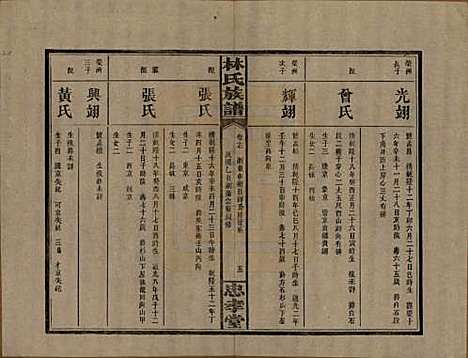 [下载][林氏族谱]湖南林氏(共三十一卷)__民国十五年(1926)_十七.pdf