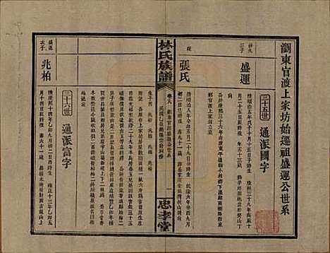 [下载][林氏族谱]湖南林氏(共三十一卷)__民国十五年(1926)_十八.pdf