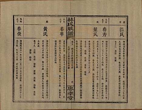 [下载][林氏族谱]湖南林氏(共三十一卷)__民国十五年(1926)_十八.pdf