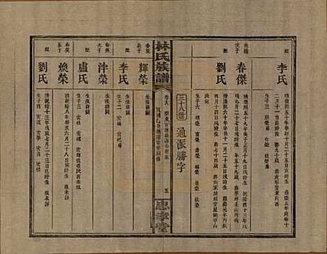 [下载][林氏族谱]湖南林氏(共三十一卷)__民国十五年(1926)_十八.pdf