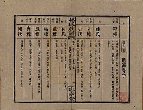 [下载][林氏族谱]湖南林氏(共三十一卷)__民国十五年(1926)_十九.pdf