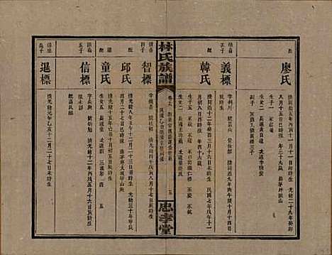 [下载][林氏族谱]湖南林氏(共三十一卷)__民国十五年(1926)_十九.pdf