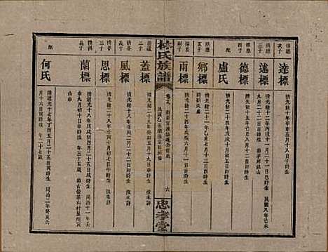 [下载][林氏族谱]湖南林氏(共三十一卷)__民国十五年(1926)_十九.pdf