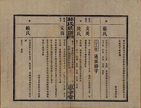 [下载][林氏族谱]湖南林氏(共三十一卷)__民国十五年(1926)_二十.pdf