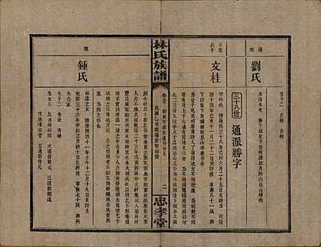 [下载][林氏族谱]湖南林氏(共三十一卷)__民国十五年(1926)_二十二.pdf