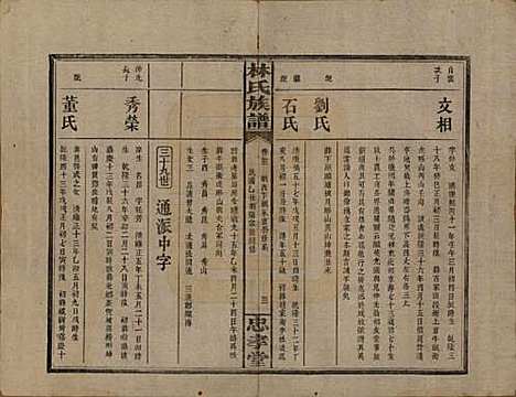 [下载][林氏族谱]湖南林氏(共三十一卷)__民国十五年(1926)_二十二.pdf