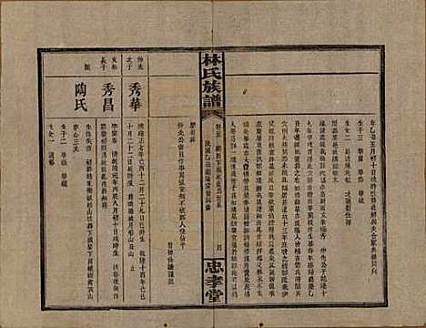 [下载][林氏族谱]湖南林氏(共三十一卷)__民国十五年(1926)_二十二.pdf