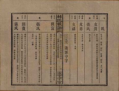 [下载][林氏族谱]湖南林氏(共三十一卷)__民国十五年(1926)_二十三.pdf