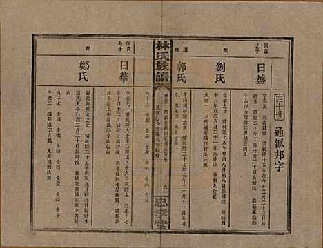 [下载][林氏族谱]湖南林氏(共三十一卷)__民国十五年(1926)_二十三.pdf