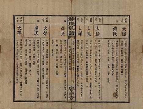 [下载][林氏族谱]湖南林氏(共三十一卷)__民国十五年(1926)_二十八.pdf