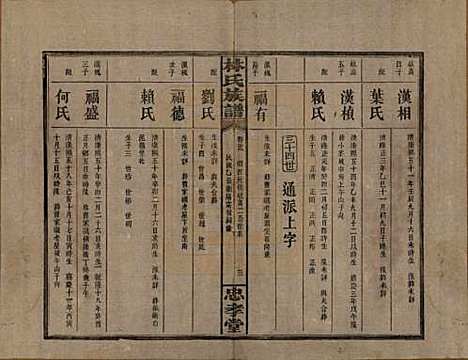 [下载][林氏族谱]湖南林氏(共三十一卷)__民国十五年(1926)_二十九.pdf