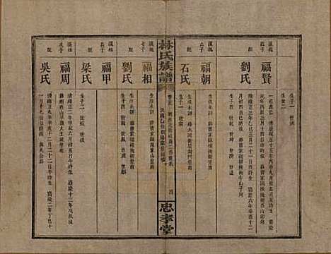 [下载][林氏族谱]湖南林氏(共三十一卷)__民国十五年(1926)_二十九.pdf