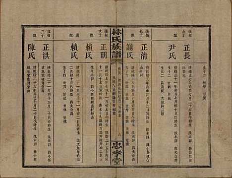 [下载][林氏族谱]湖南林氏(共三十一卷)__民国十五年(1926)_二十九.pdf