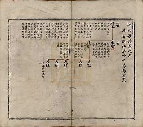 [下载][林氏宗谱]中国林氏(共三卷)__清光绪四年（1878）_三.pdf