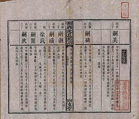 [下载][沈氏房谱]湖南沈氏__清光绪七年（1881）_九.pdf