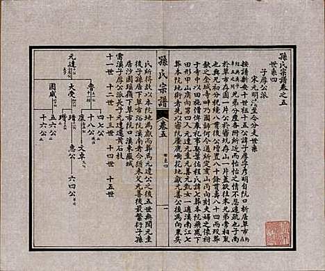 [下载][孙氏宗谱]江苏孙氏(共十二卷首一卷)__民国十六年（1927）_五.pdf