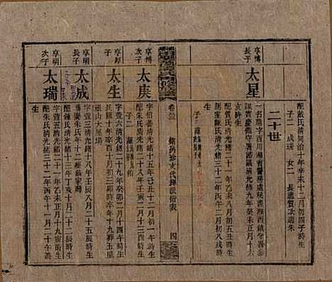 [下载][湘乡田乐荡谭氏再修族谱]湖南谭氏__民国13年（1924）_三十三.pdf