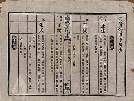 [下载][上湘横塘谭氏支谱]湖南谭氏__清宣统元年（1909)_九.pdf