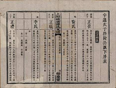 [下载][上湘横塘谭氏支谱]湖南谭氏__清宣统元年（1909)_十六.pdf