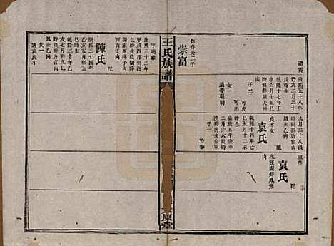 [下载][王氏四修族谱]湖南王氏__光绪十六年（1890）_九.pdf