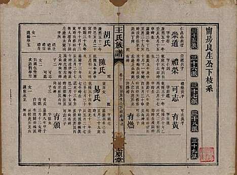 [下载][王氏四修族谱]湖南王氏__光绪十六年（1890）_十.pdf