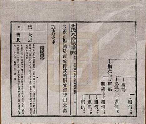 [下载][王氏八修族谱]湖南王氏__民国35年（1946）_十一.pdf