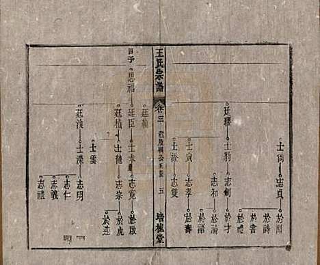 [下载][王氏宗谱]安徽王氏__清同治5年1866_三.pdf