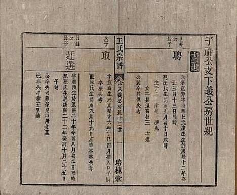 [下载][王氏宗谱]安徽王氏__清同治5年1866_八.pdf