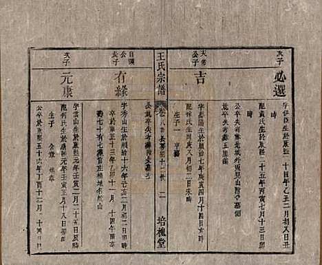 [下载][王氏宗谱]安徽王氏__清同治5年1866_八.pdf