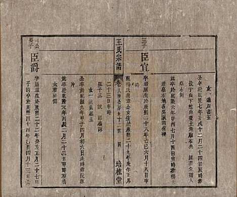 [下载][王氏宗谱]安徽王氏__清同治5年1866_八.pdf