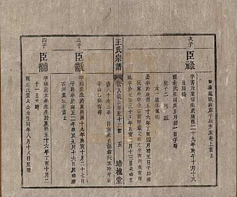 [下载][王氏宗谱]安徽王氏__清同治5年1866_八.pdf