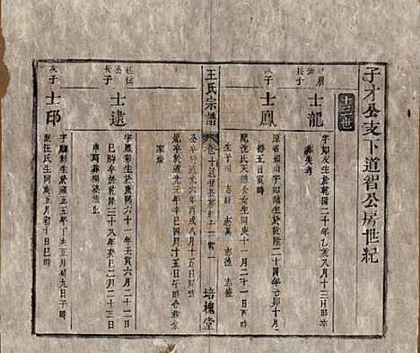 [下载][王氏宗谱]安徽王氏__清同治5年1866_十.pdf