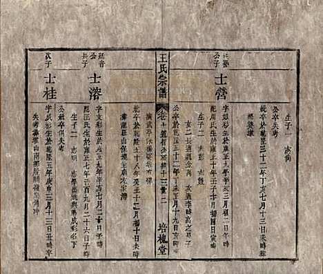 [下载][王氏宗谱]安徽王氏__清同治5年1866_十.pdf